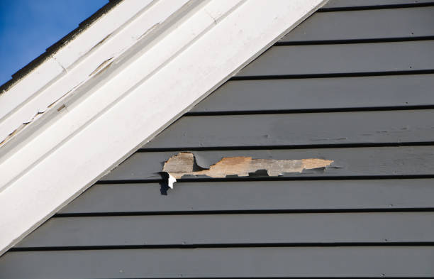 Professional Junk Removal in Cabana Colony, FL